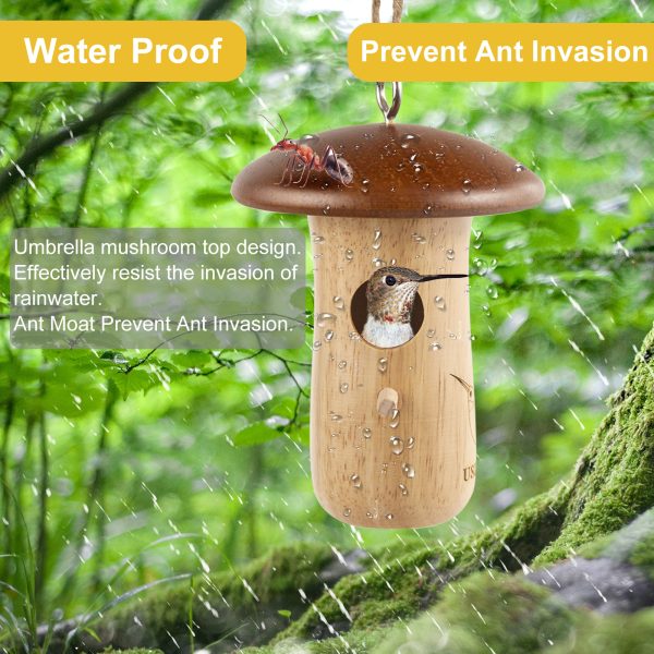 Umbrella mushroom top design 主图7