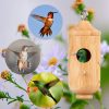Humming Bird Nest 主图4