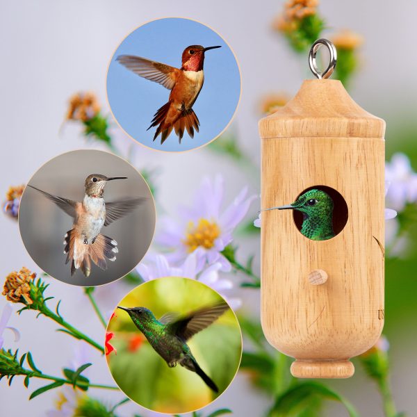 Humming Bird Nest 主图4